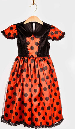 Den Goda Fen Verkleedkledij Lieveheersbeestje - Jurk, vleugels en hoofdband - 98-104cm - 2-4 jaar - Rood/Zwart