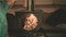 Denali Tent Stove met RVS Tipi beschermpijp
