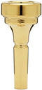 Denis Wick Cornet mondstuk DW4881 2