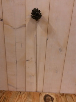 Dennenappel op stok