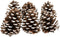 Dennenappels - groot - 6 stuks - Nuvole di Stoffa