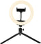 Denver RLS801 Ring Light met Statief - 8 inch Tiktok Lamp met Telefoonhouder - Ringlamp 19cm Hoog