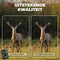 Denver Wildcamera met Nachtzicht - 4K Ultra HD - 50MP - LCD Scherm - Waterdicht - WCT8016