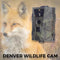 Denver Wildcamera - WCT5001