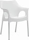 Design kantinestoel of tuinstoel Jenny Antraciet