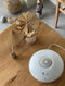DesignNest - aromaDiffuser - Bureau - Wit