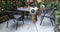 DesignNest AudioBall - Bluetooth Speaker - Statief - Koppelbaar - 25W