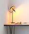 DesignNest FlashLight DeskLight SET - Bureaulamp - Grijs - Warm