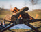 DesignNest Folding Fire - Opvouwbare Vuurkorf - BBQ en Kampvuur - 27 x27 x 32 CM (Klein)