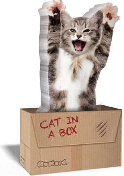 Desktop Pagina Markers Cat