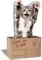 Desktop Pagina Markers Cat