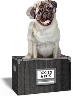 Desktop Pagina Markers Dog