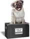 Desktop Pagina Markers Dog