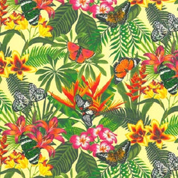 Dessin 807 exclusief 50cm x 200m