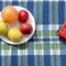 DETEX Picknickkleed 200x200cm XXL Waterdicht Geïsoleerd Opvouwbaar Blauwe-Ruiten
