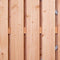 Deur met stalen frame 100 x 195 cm