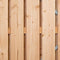 Deur met stalen frame 100 x 195 cm