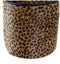 Deurhouder DKD Home Decor Luipaard 19 x 19 x 19 cm