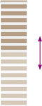 vidaXL - Zebra - Blind - 60x230 - cm - stofbreedte - 55,9 - cm - polyester - zandbruin