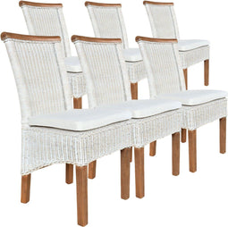 SVJ Eetkamerstoelen - 54x47x97 cm - Rotan - Wit - Set van 6