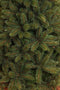 Triumph Tree Forest Frosted Kunstkerstboom - H260 cm - groen