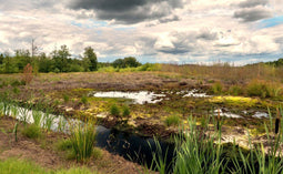 Customize it - Tuinschilderij drenthe 130x70cm