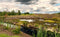 Customize it - Tuinschilderij drenthe 130x70cm
