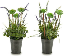 Decoratieve plant Lavendel Metaal Plastic (13 x 40 x 13 cm)