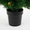 Black Box Trees Norton - Kunstkerstboom met LED Verlichting - H90 x Ø50 cm - Groen