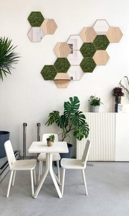 Hexagon wandtegel | Moswand | Zelfklevend | Set van 17