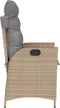vidaXL - Tuinstoel - verstelbaar - met - kussens - poly - rattan - gemengd - beige
