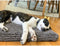 Dgs Grey Dirt Dog Hondenkussen Grijs - Hondenkussen - L