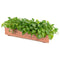 Coast Verhoogd Plantenbed - Dennenhout - 91,5 x 18 x 16 cm - Bruin
