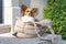 Designed by Lotte Tico - Draagtas Hond - Pluche uitneembare binnenvoering - Beige - 42x20x35 cm