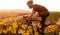 Rogelli Fuse - Korte Fietsbroek - Met Bretels - Zwart Rood - Maat L