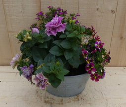 Zinken bakje zomerbloeiers roze dia. 20 cm