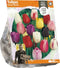 Tulipa Darwin Mixed (Sp) per 10