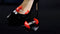 Diamant Deals Wellys 2 Stuks Mini Schoenspanners