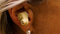 Diamant Deals Wellys Sound Zoomer Oordop