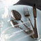 Diamant Sabatier Aneth bestekset - 24-delig - zilver - rvs - geschenkdoos