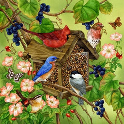 Diamond painting de luxe 40x40cm - Vogels in vogelhuis