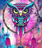 Diamond painting de luxe 40x50cm - Uil in dromenvanger