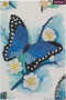 Diamondpainting Crystal Art Kaart Blauwe vlinder 10x15cm