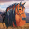 Diamondpainting Crystal Art Kaart Paard 18x18cm