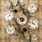 Diep bord Queen´s By Churchill Jacobean Gebloemd Keramisch Porslin 22,8 cm (6 Stuks)