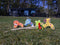 Dieren Croquet