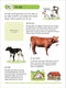Dieren op de boerderij