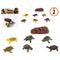 dieren Schildpad Set 20 x 19 cm