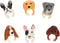 Dieren Vingerpopjes 3D