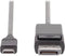 Digitus AK-300333-020-S video kabel adapter 2 m USB Type-C DisplayPort Zwart